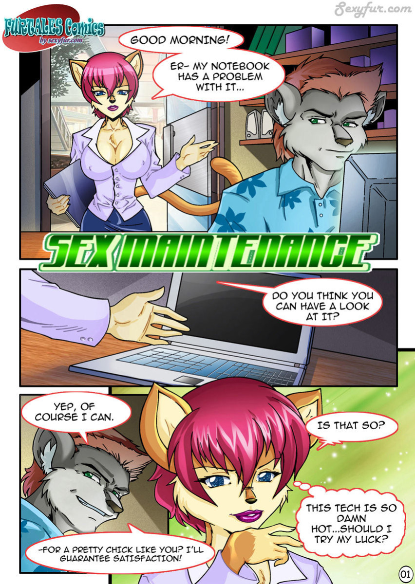 Sex Maintenance (SF)