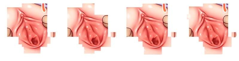 [Nazuna] Stop Strip (THE iDOLM@STER CINDERELLA GIRLS) [MTL]