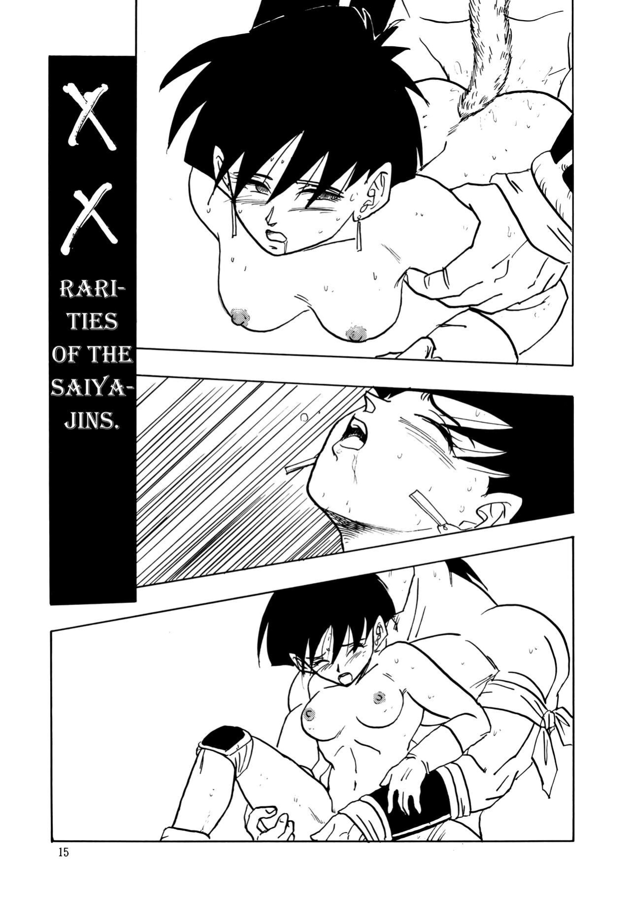 (C44) [Chirigami Goya, Fusuma go Ten (Shoji Hariko)] XX (Dragon Ball Z) Excavateur]