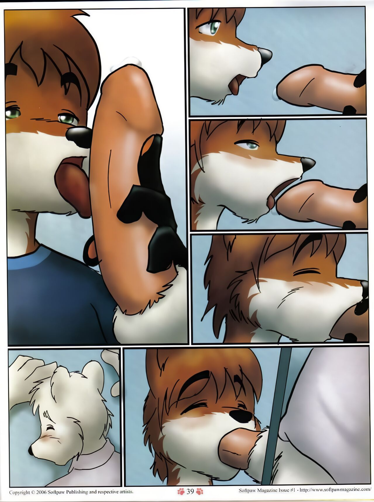 Softpaw 1