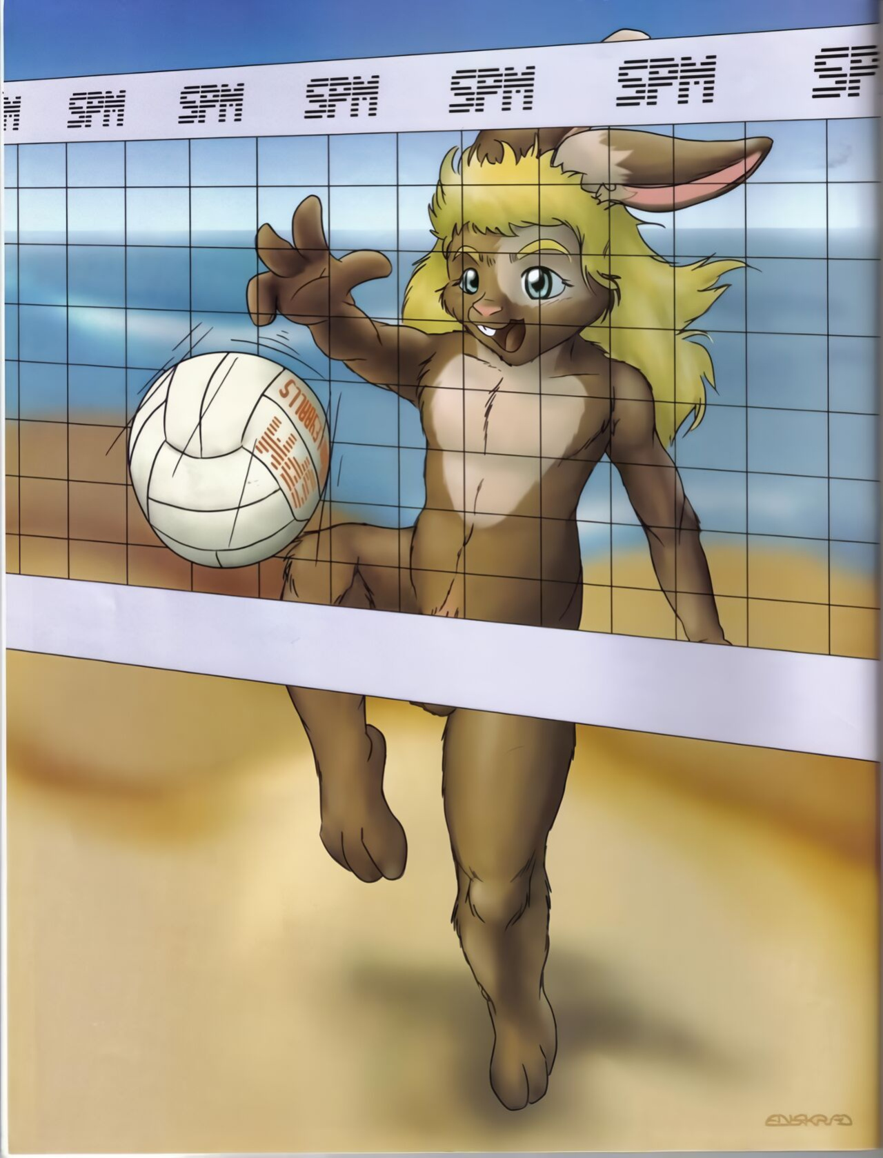 Softpaw 1