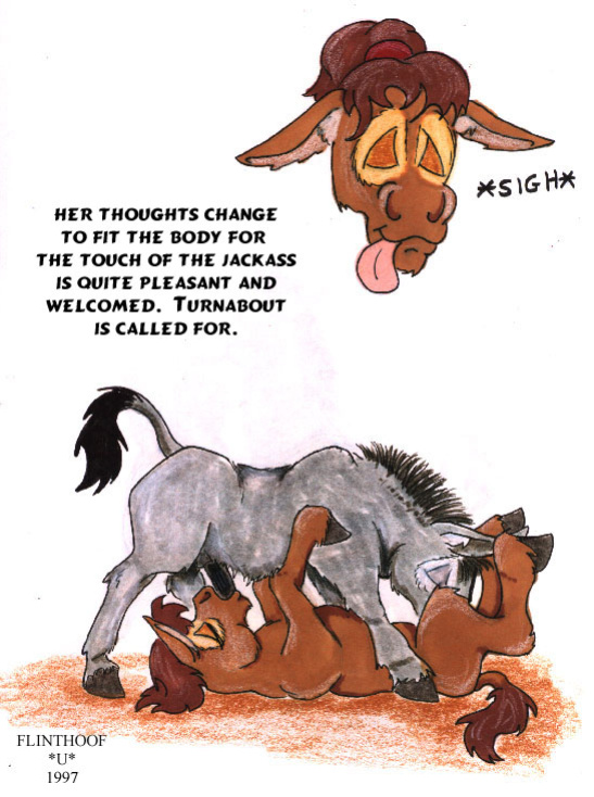 [Flinters] Donkey Tales