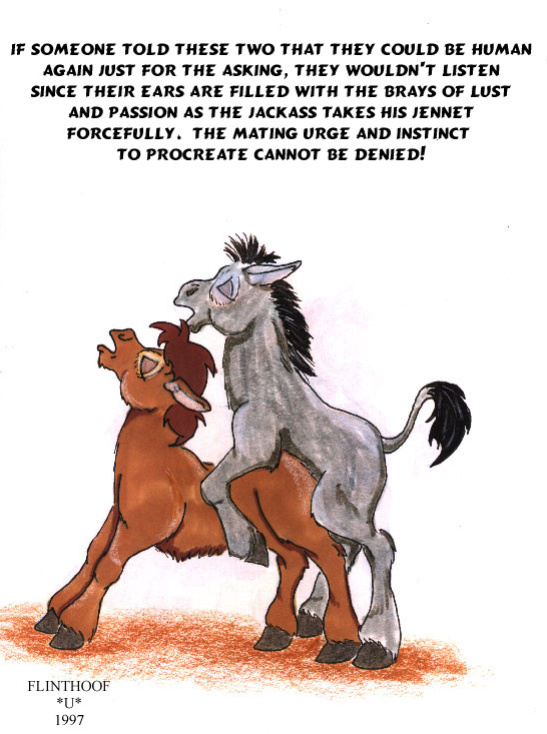 [Flinters] Donkey Tales