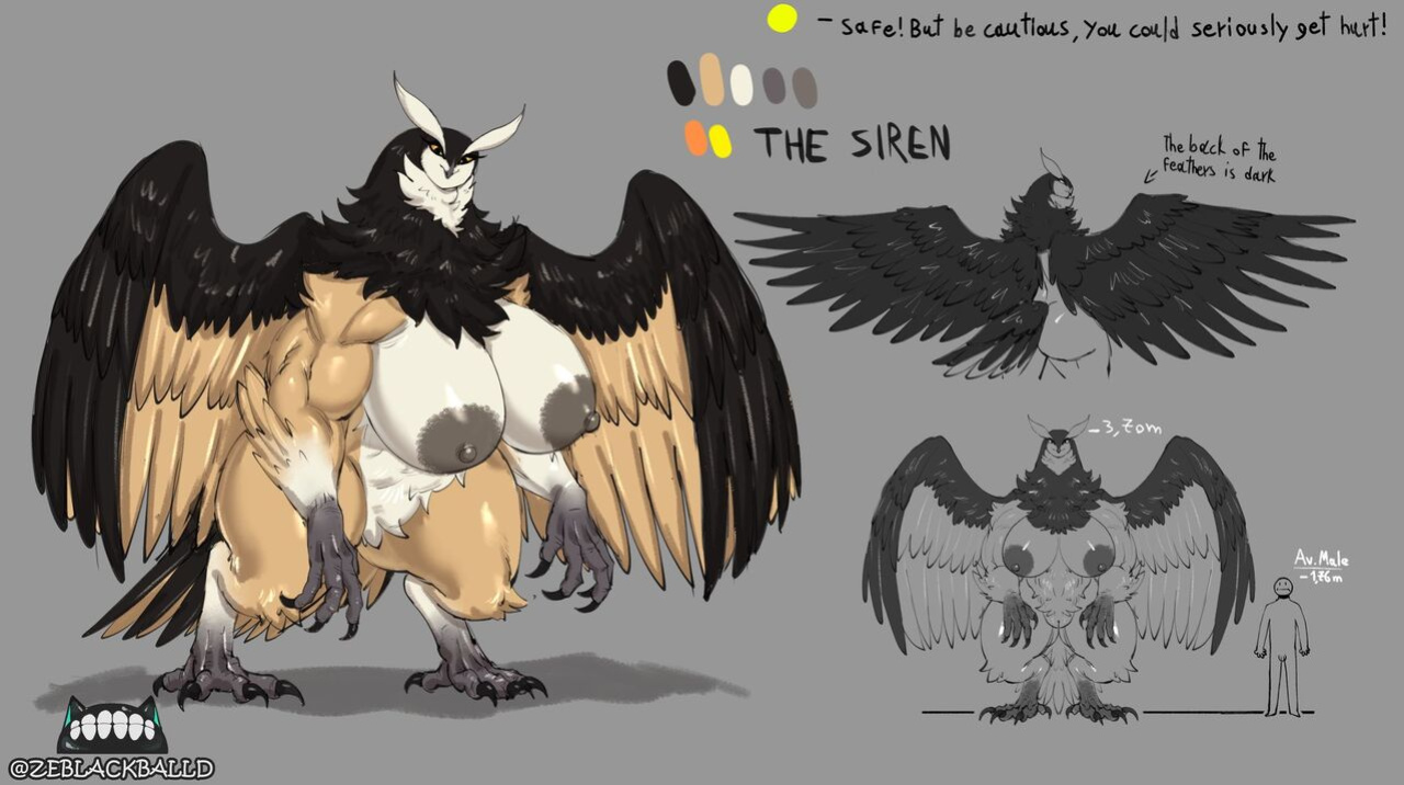 Artist - ZeBlackBallD