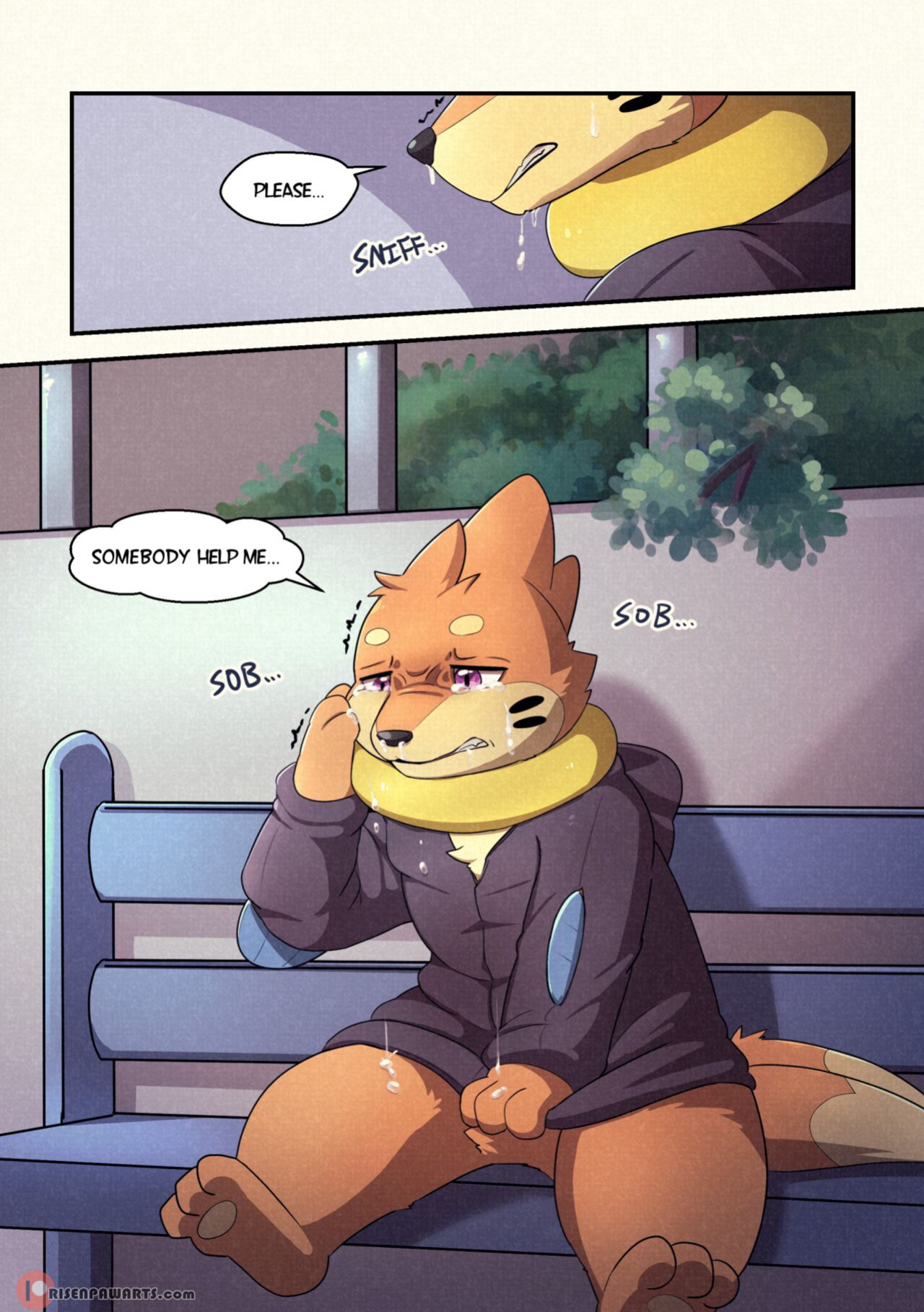 [RisenPaw] The Fulll Moon Part 2 (Pokemon)