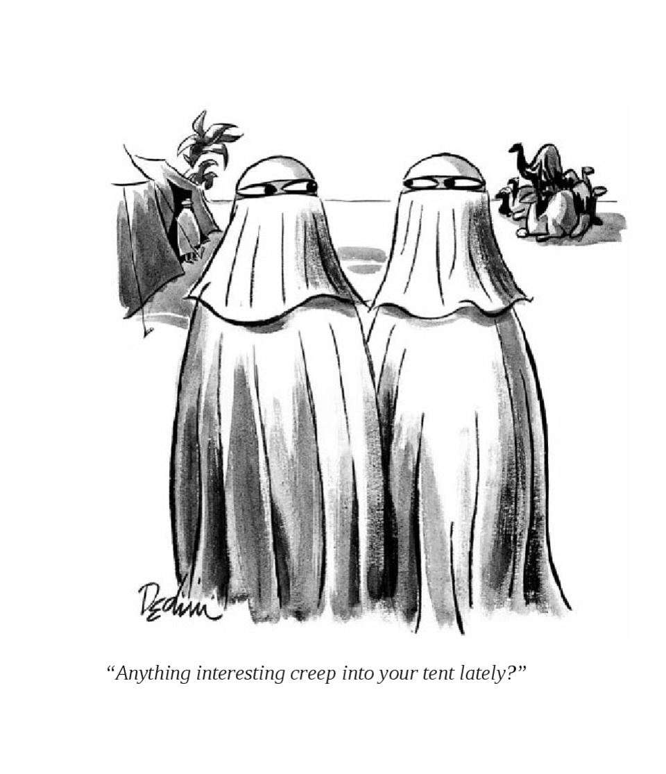 Playboy - 50 Years: The Cartoons