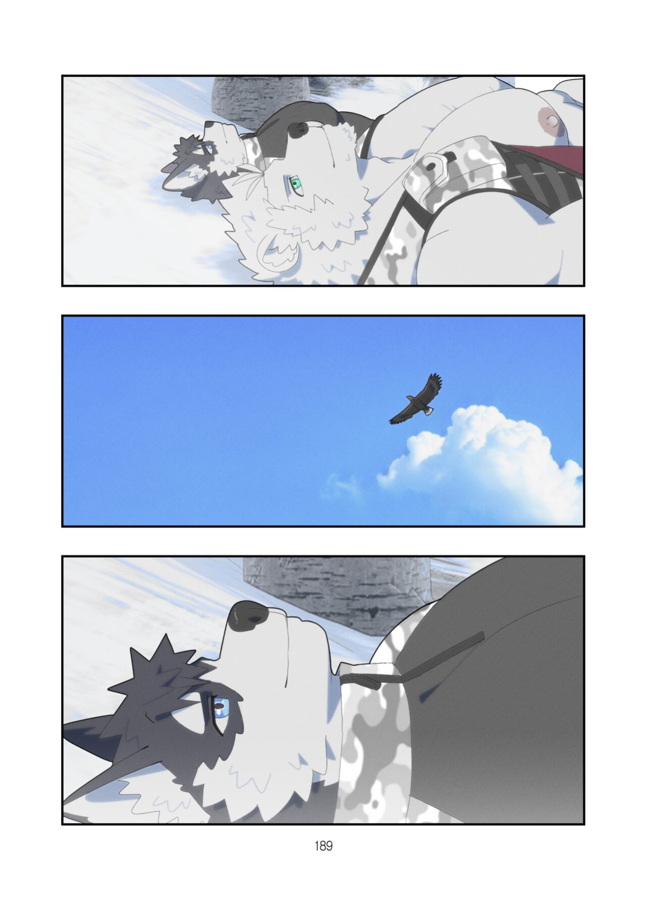 [Raccoon21] December, Twilight, Snowflake EP4