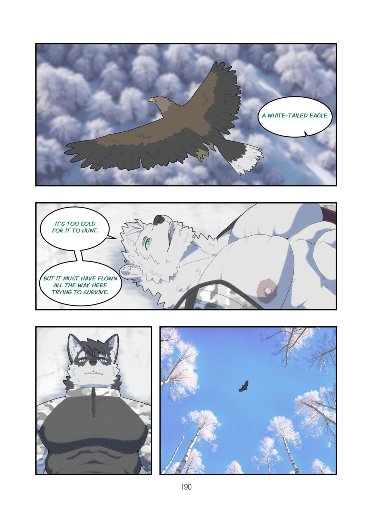 [Raccoon21] December, Twilight, Snowflake EP4