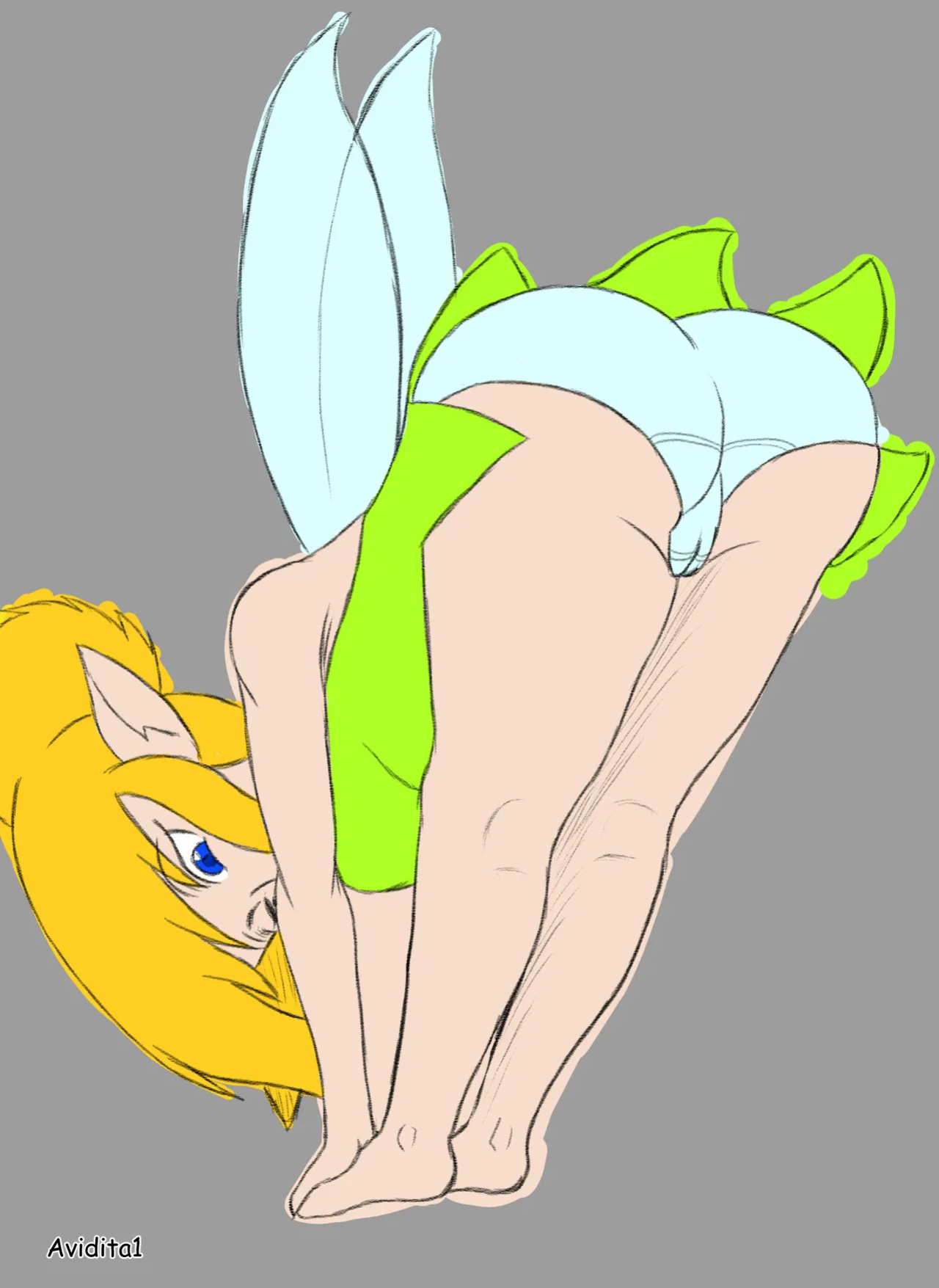 Artist - Avidita1