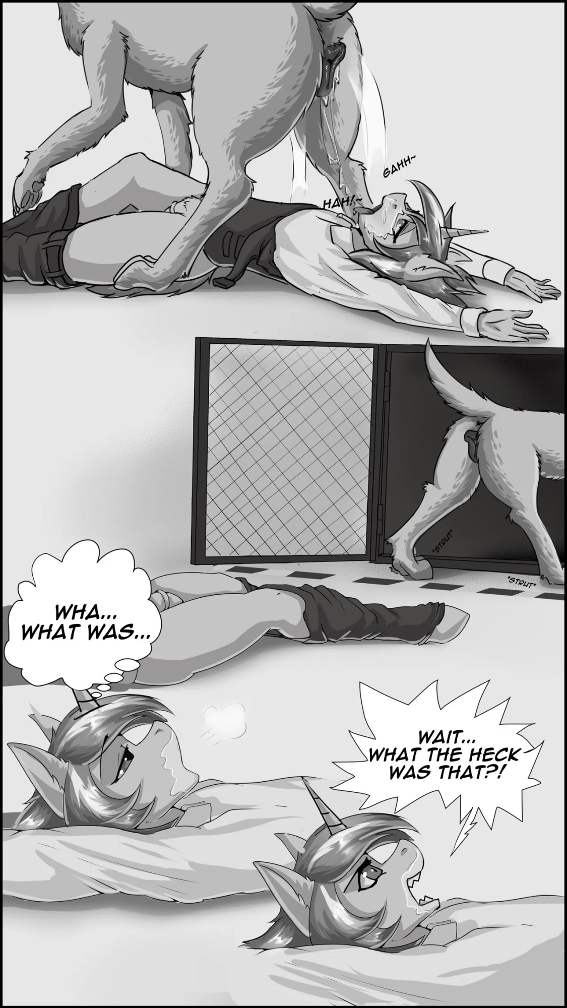 [ShamziWhite] Rookie's Cookie