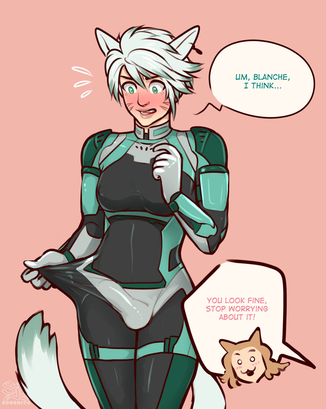 Soushiyo Final Fantasy and catfolks