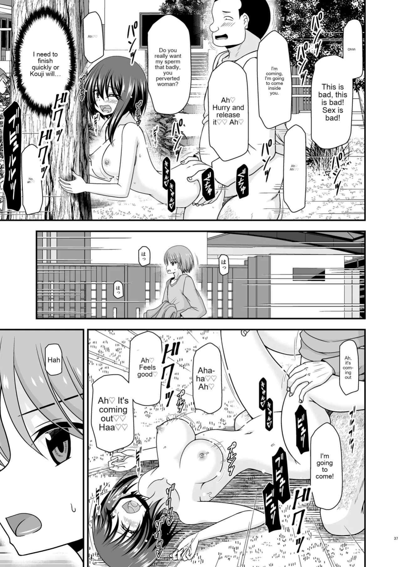[valssu (Charu)] Netorare Roshutsu Shoujo 3 [MTL]