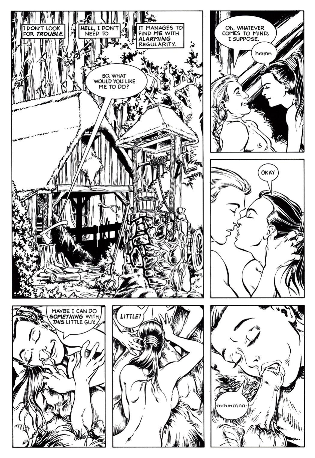 [Bill Willingham] Ironwood #1
