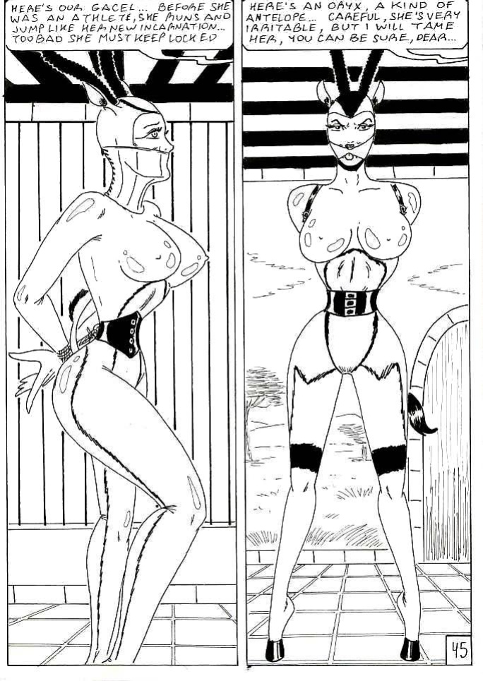 [Osvaldo Greco] The Damsels Zoo