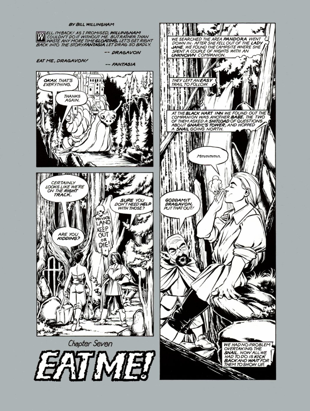[Bill Willingham] Ironwood #2