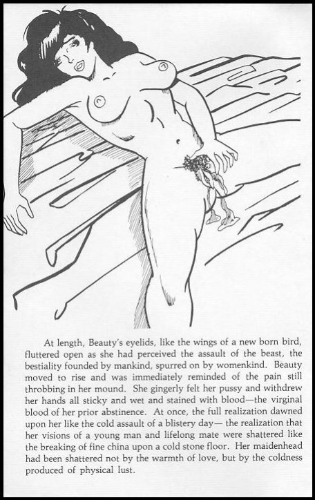 Beauty And The Beast 70's Adult Comic