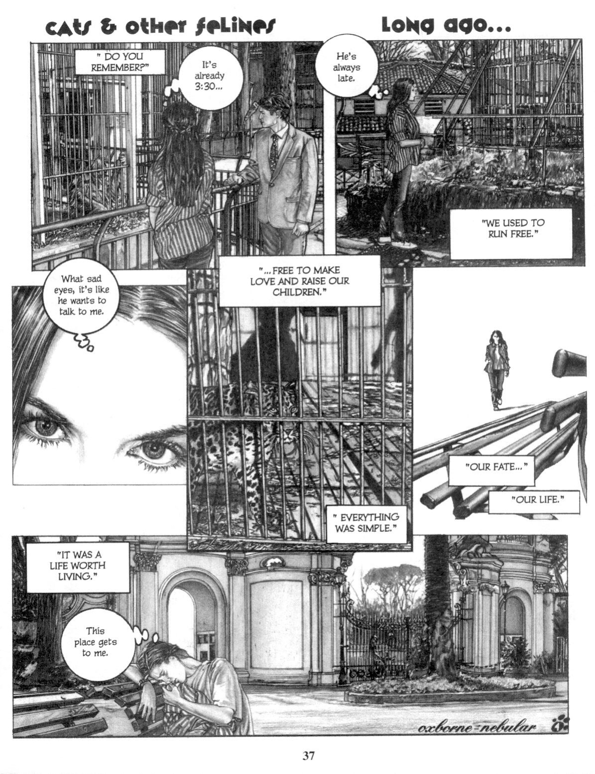 Sizzle Comix # 17