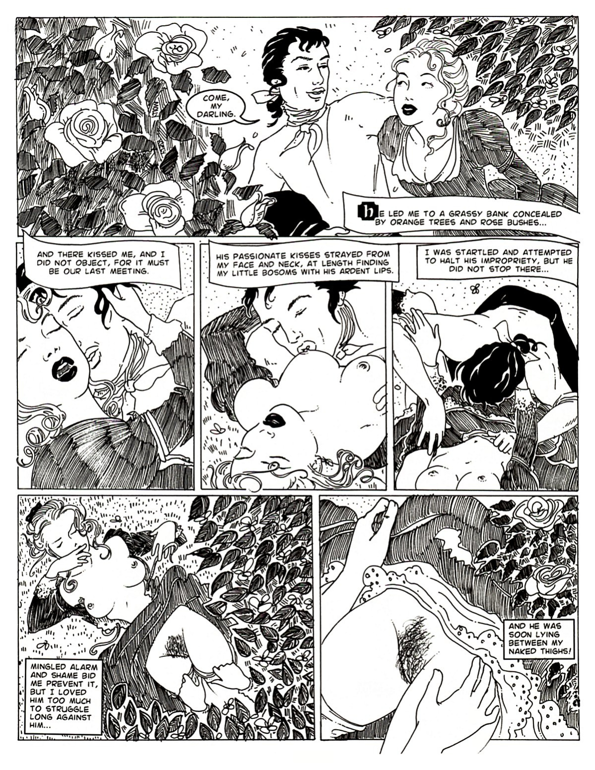A night in a moorish harem 1