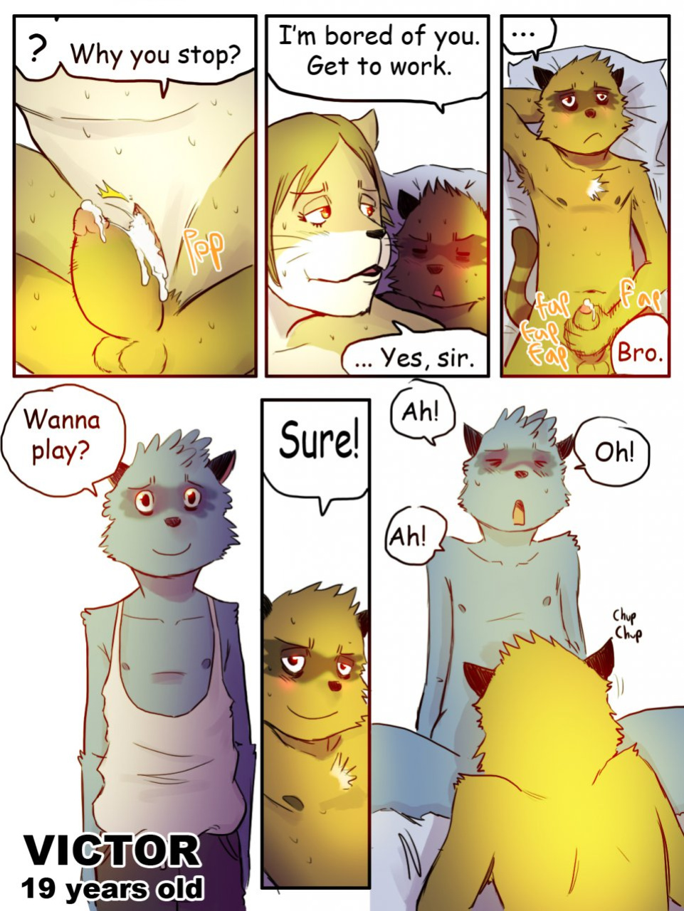 [Tolok] The story of the Racoon