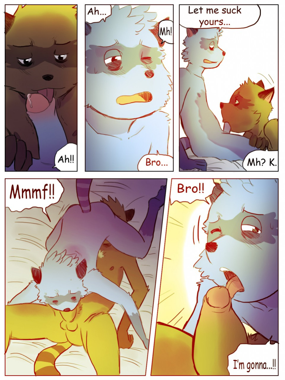 [Tolok] The story of the Racoon