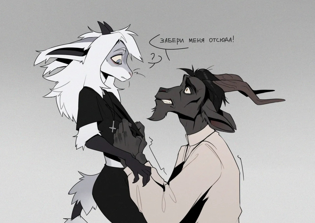 drmax Patreon Archive