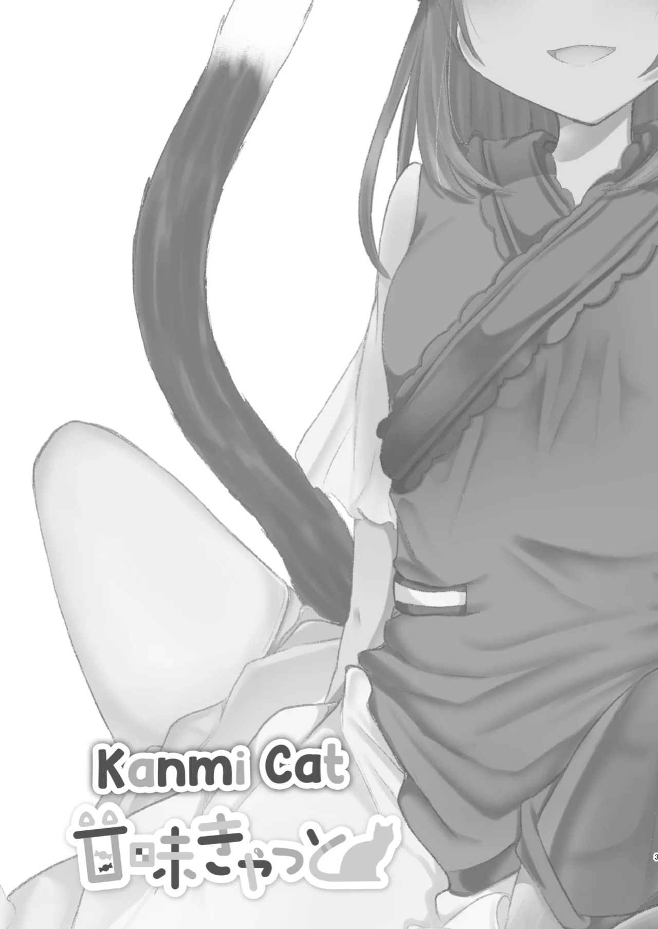 [Kanmi Cat (Miyase Nukko)] Josou Shumi no Boku ga Kondo wa Futanari Chen-chan ni Okasareru Hon (Touhou Project) [mysterymeat3]
