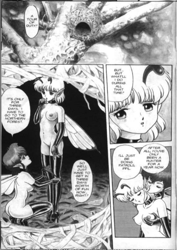 Bondage Fairies