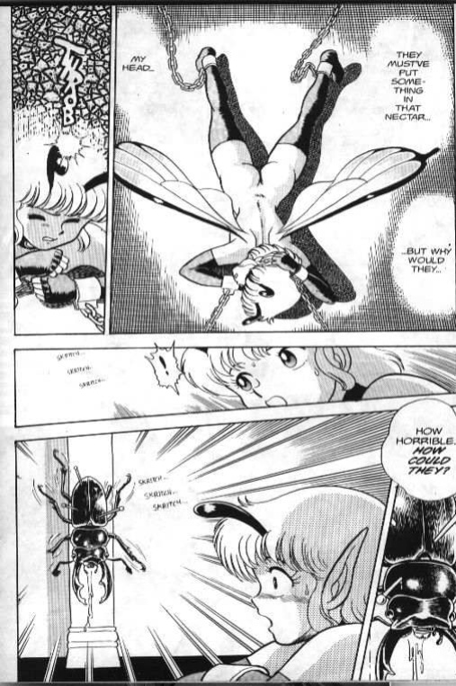 Bondage Fairies
