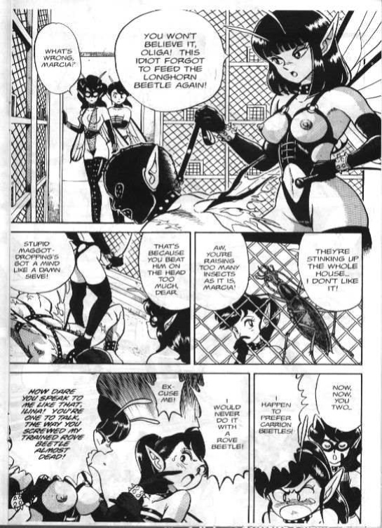 Bondage Fairies