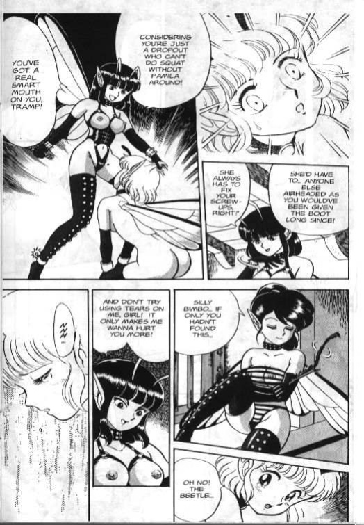 Bondage Fairies