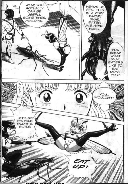 Bondage Fairies