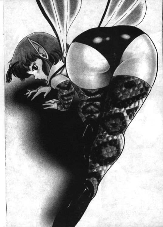 Bondage Fairies