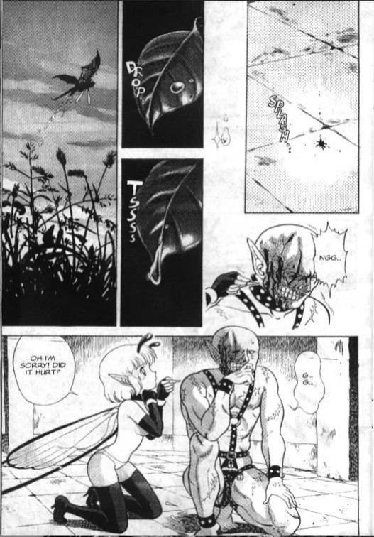 Bondage Fairies