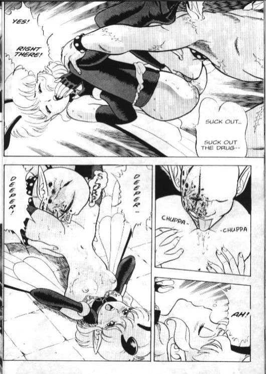 Bondage Fairies