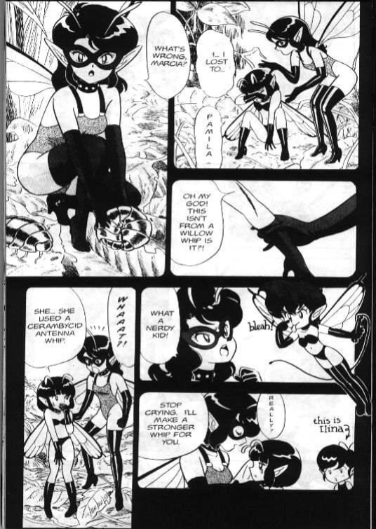 Bondage Fairies