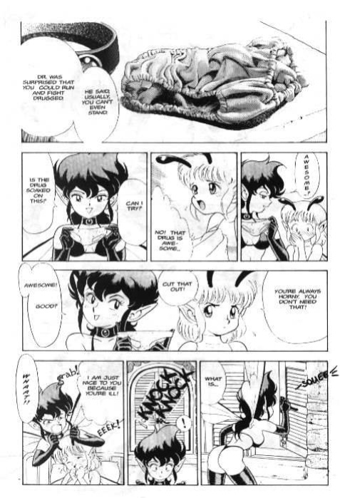 Bondage Fairies