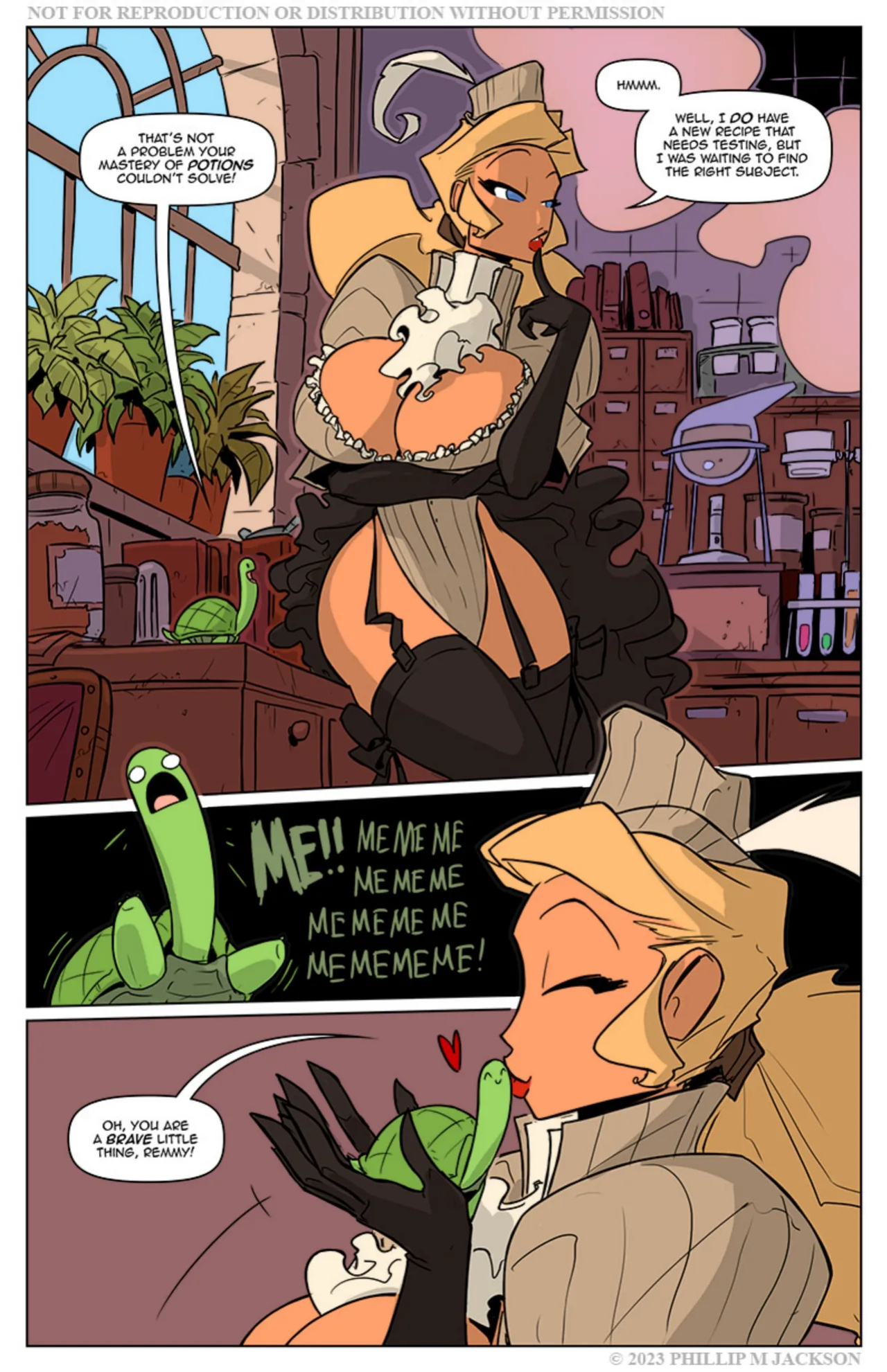 [JollyJack] Guard Turtle (Color)