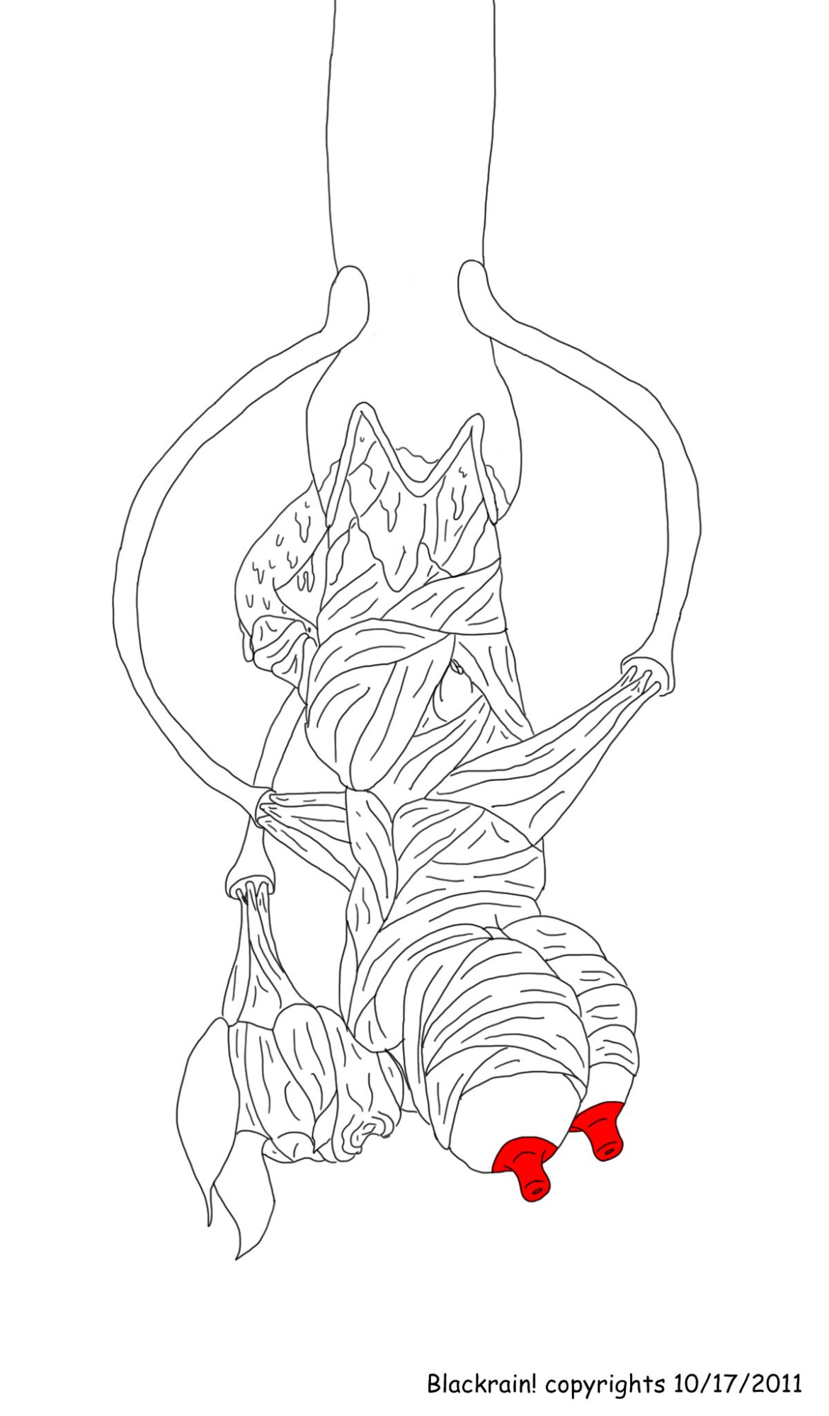 Blackrain drawings 01