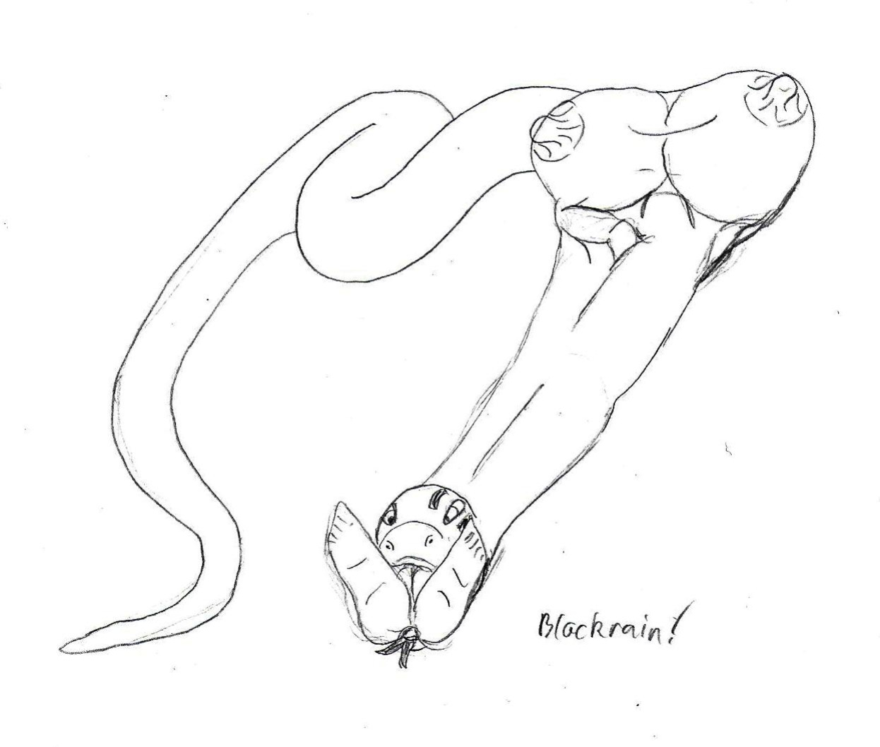 Blackrain Sketches 01