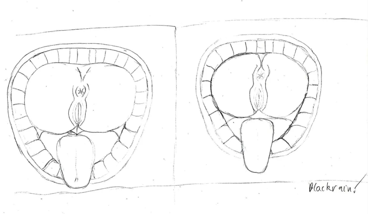 Blackrain Sketches 01