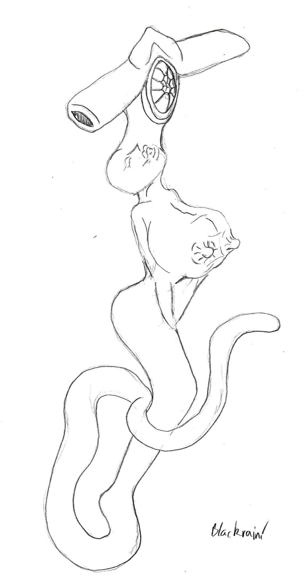Blackrain Sketches 01