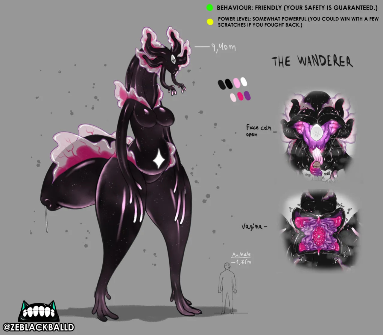 [ZeBlackBallD] The Wanderer