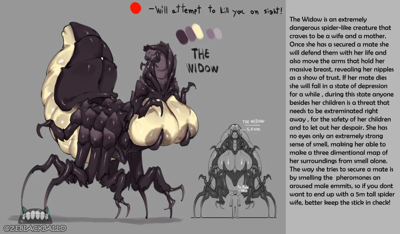 [ZeBlackBallD] THE WIDOW