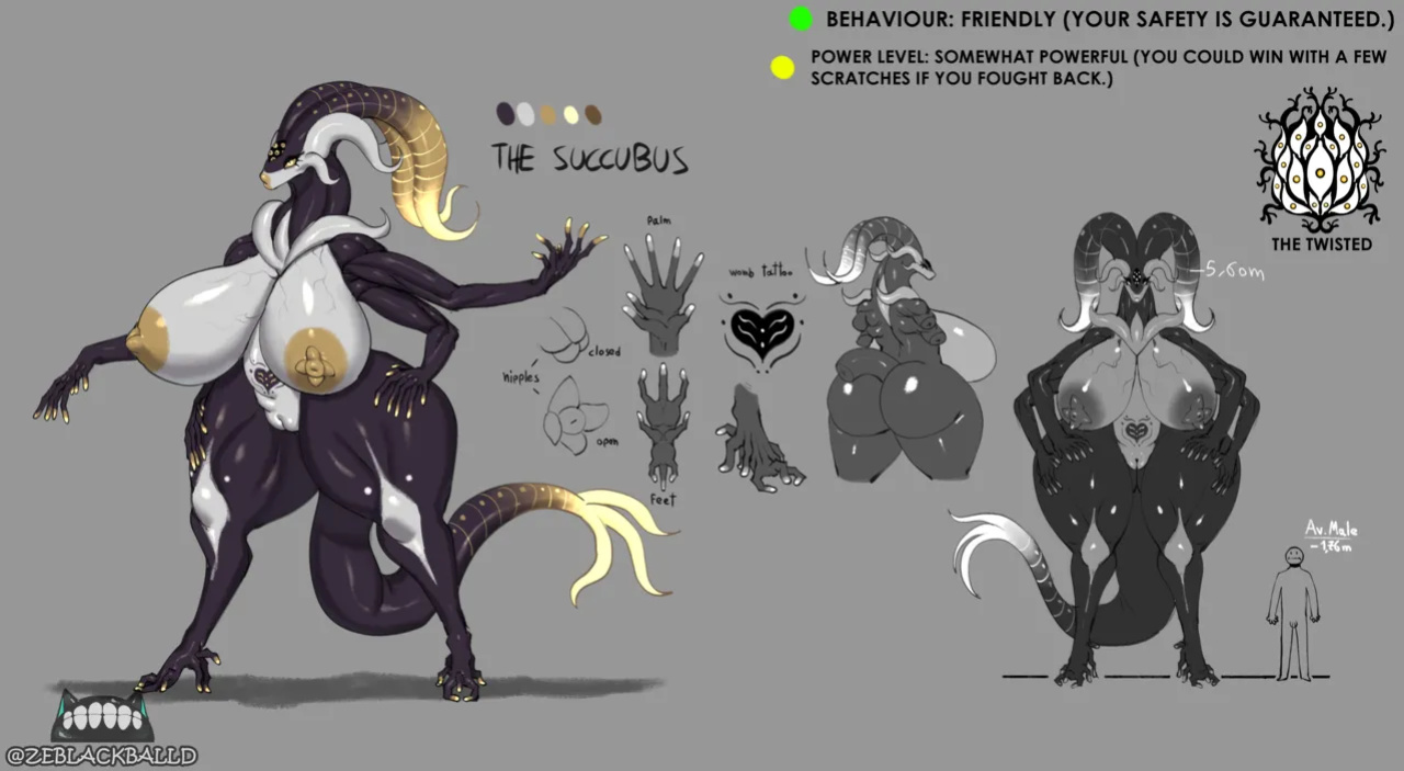 [ZeBlackBallD] THE SUCCUBUS