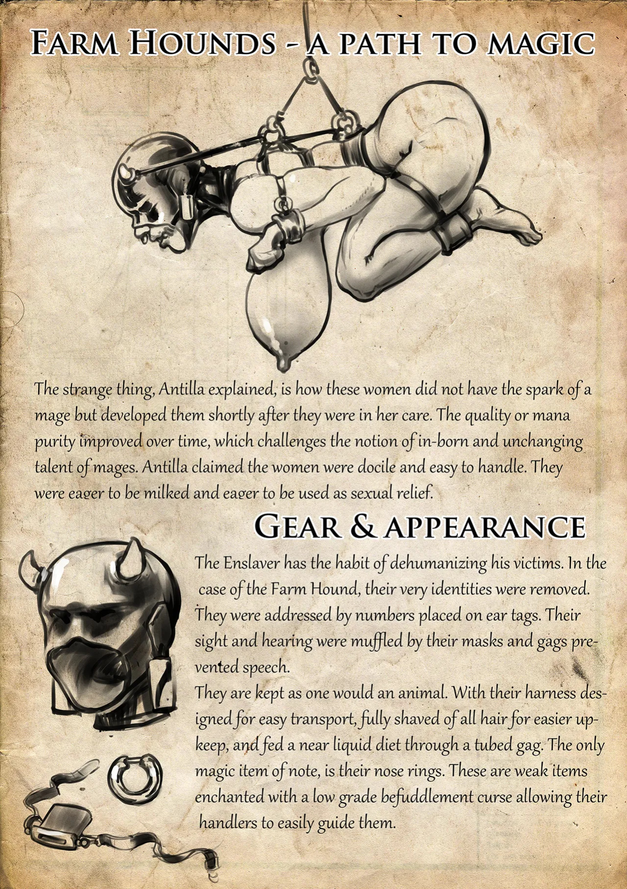 [Groz] Warden Lore and Concepts