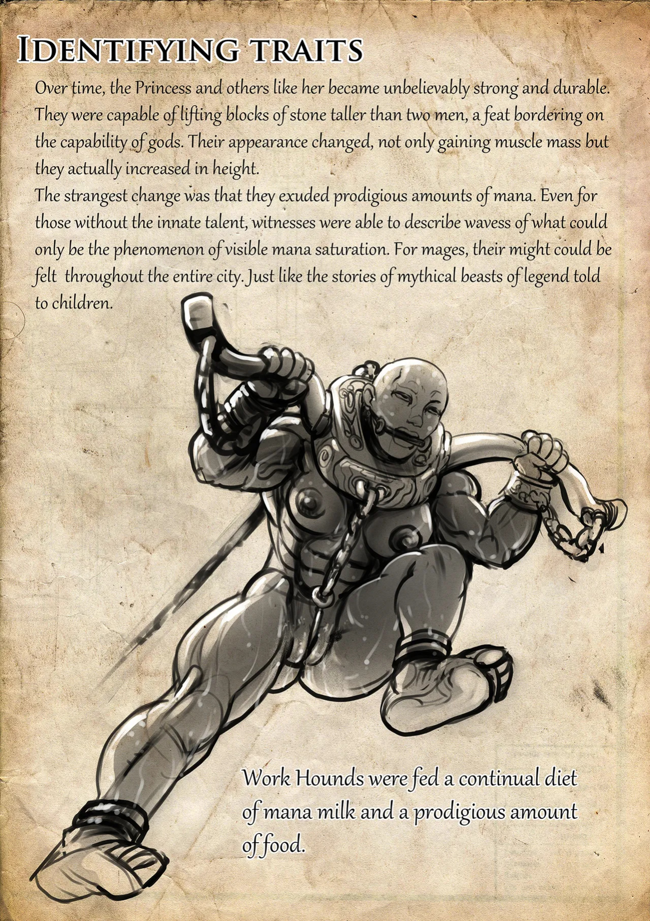 [Groz] Warden Lore and Concepts