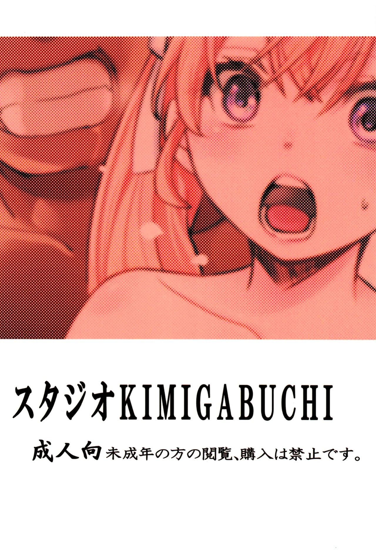 (C100) [Studio KIMIGABUCHI (Kimimaru)] Kakkou no Seidorei (Kakkou no Iinazuke) [CulturedCommissions]