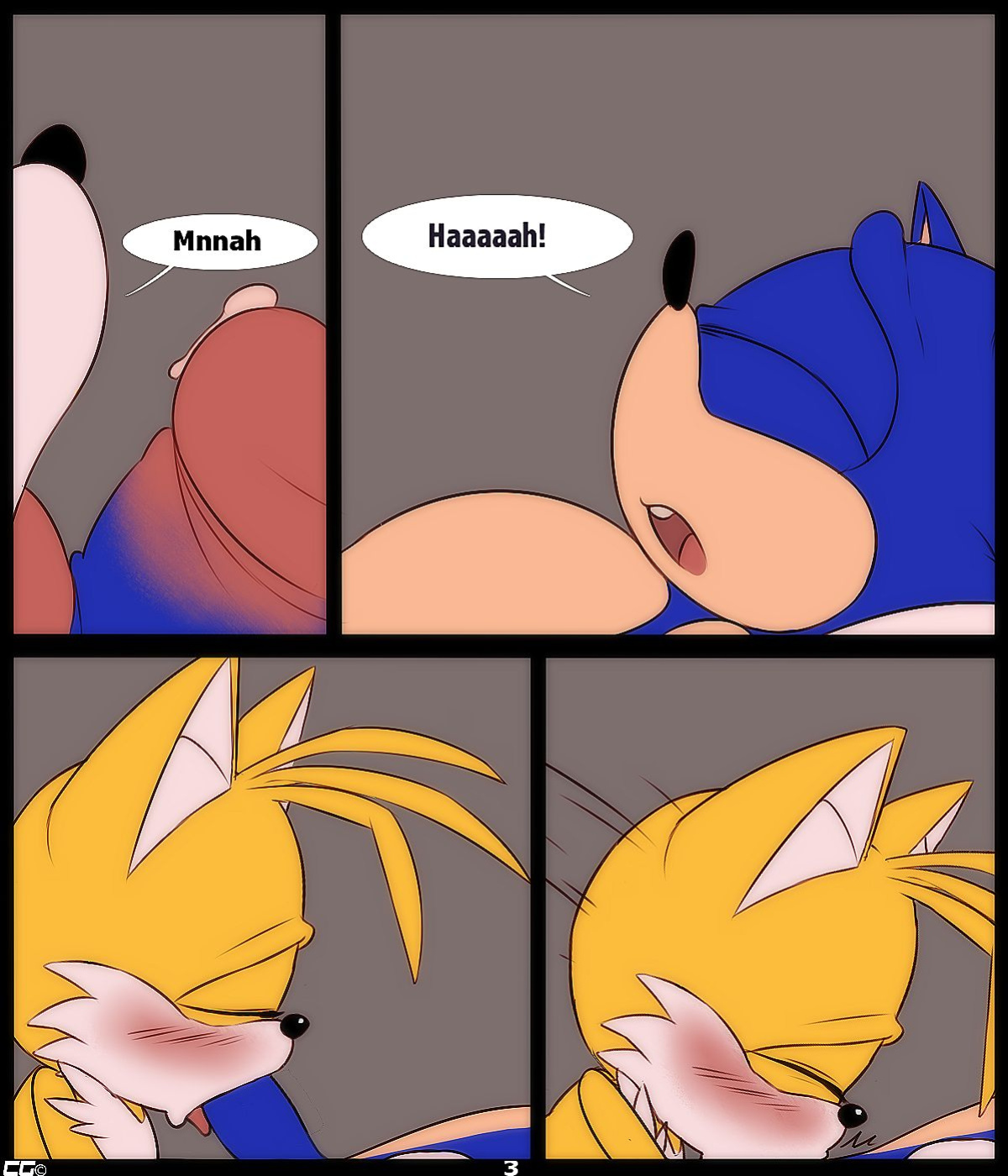 [CrazedG] Curious Fox (Sonic The Hedgehog)