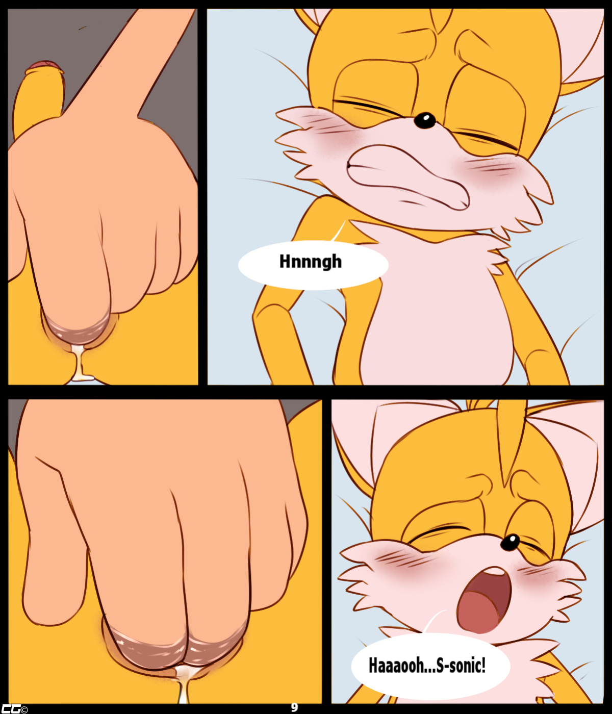 [CrazedG] Curious Fox (Sonic The Hedgehog)