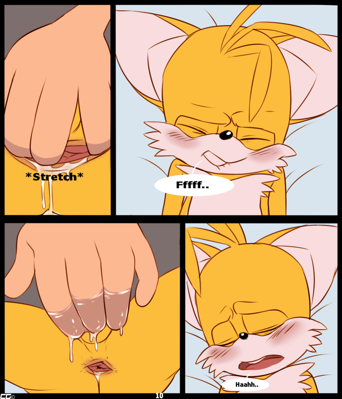 [CrazedG] Curious Fox (Sonic The Hedgehog)